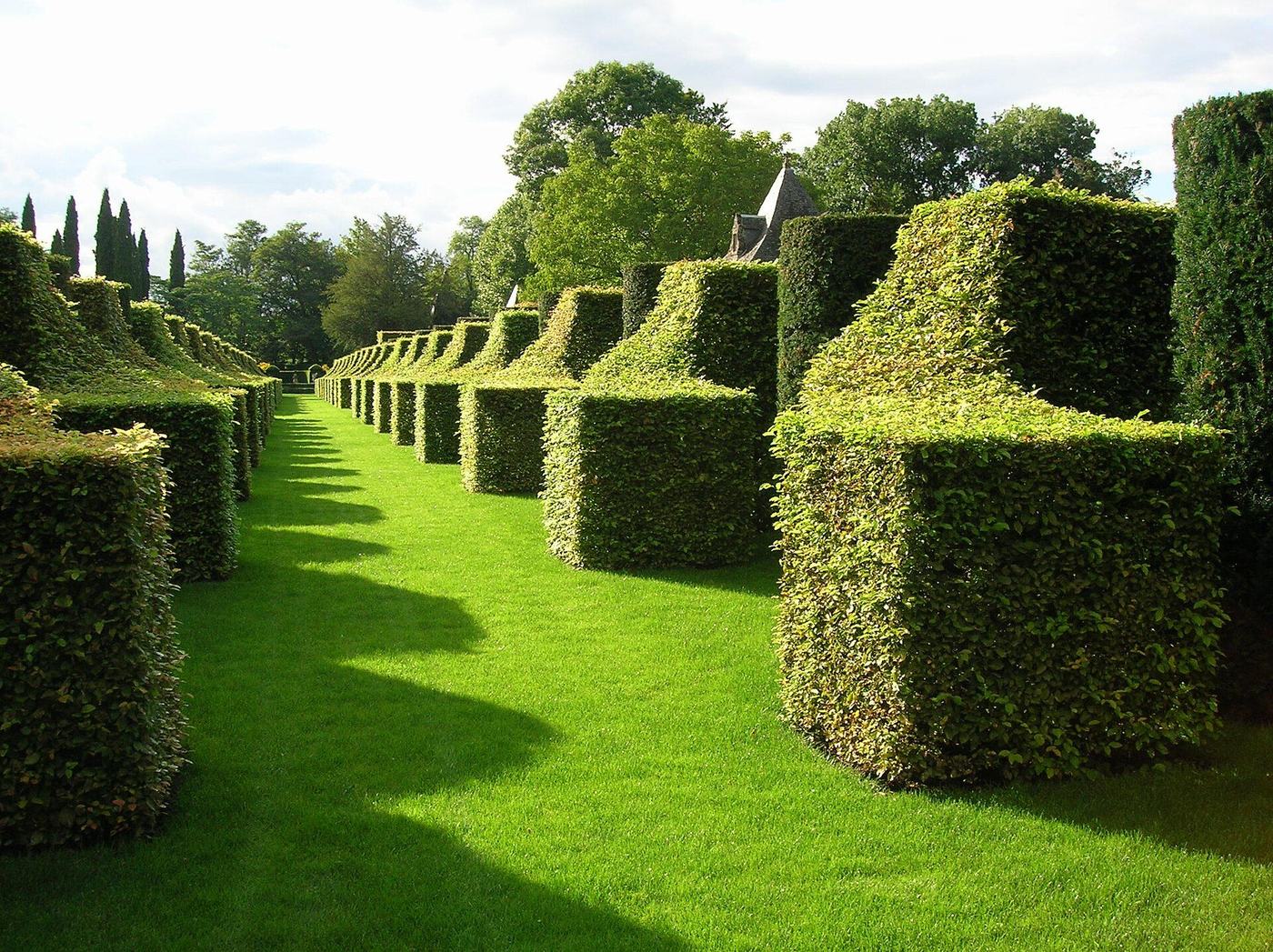 Haies taillées au cordeau dans un grand jardin